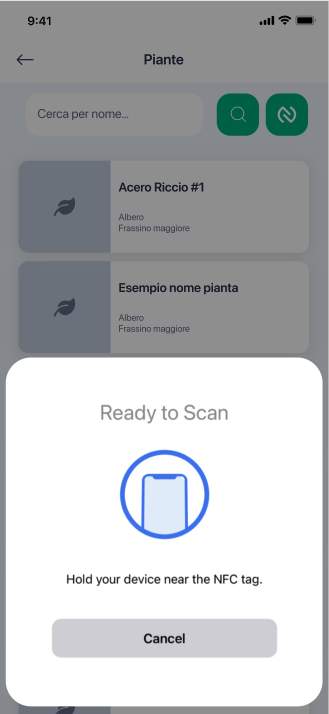 * app in Flutter