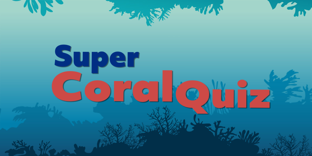 Super Coral Quiz